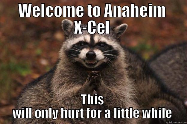 WELCOME TO ANAHEIM X-CEL THIS WILL ONLY HURT FOR A LITTLE WHILE Evil Plotting Raccoon