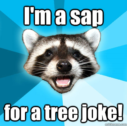 I'm a sap for a tree joke!  Lame Pun Coon