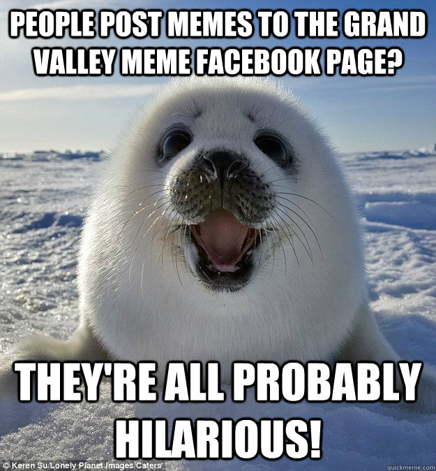 people post memes to the grand valley meme facebook page? they're all probably hilarious!  Easily Pleased Seal