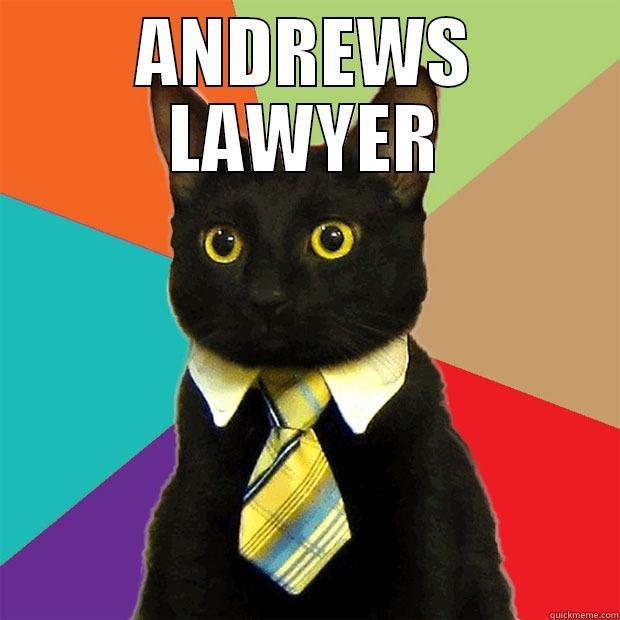 ANDREWS LAWYER  Business Cat
