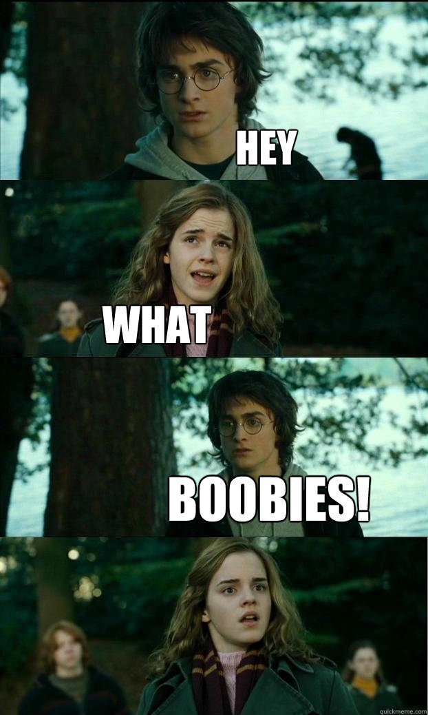 hey
 what boobies!
 - hey
 what boobies!
  Horny Harry