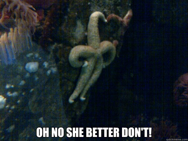  Oh no she better don't!    -  Oh no she better don't!     Sassy Starfish