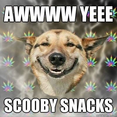 awwww yeee scooby snacks  Stoner Dog