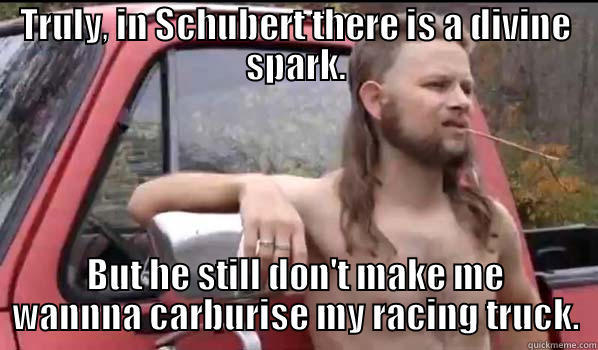 TRULY, IN SCHUBERT THERE IS A DIVINE SPARK. BUT HE STILL DON'T MAKE ME WANNNA CARBURISE MY RACING TRUCK. Almost Politically Correct Redneck