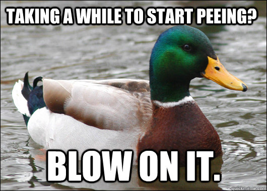 Taking a while to start peeing? Blow on it.  Actual Advice Mallard