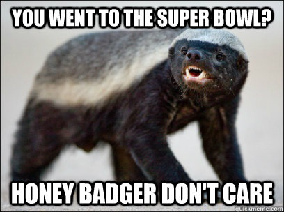 you went to the super bowl? Honey badger don't care  Honey Badger