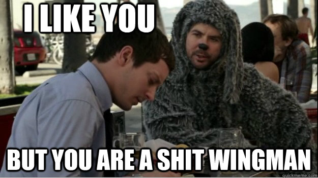 I Like You But You Are A Shit Wingman  
