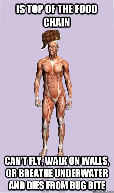 is top of the food chain can't fly, walk on walls, or breathe underwater and dies from bug bite - is top of the food chain can't fly, walk on walls, or breathe underwater and dies from bug bite  Misc