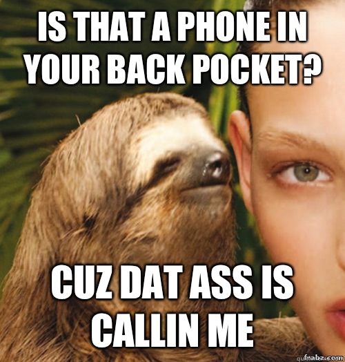 Is that a phone in your back pocket? Cuz dat ass is callin me  rape sloth