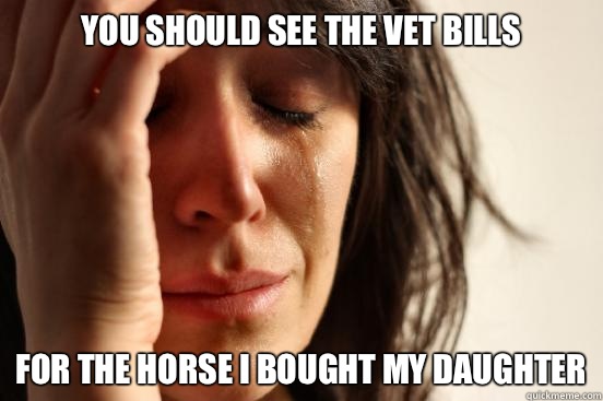 You should see the vet bills For the horse I bought my daughter  First World Problems