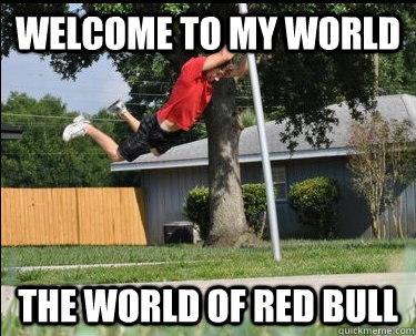 welcome to my world the world of red bull  