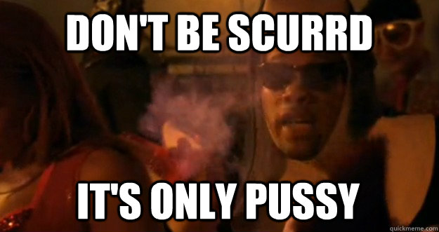 don't be scurrd it's only pussy - don't be scurrd it's only pussy  dont be scurred