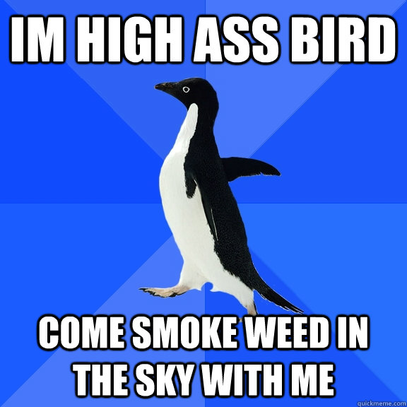 im high ass bird come smoke weed in the sky with me  Socially Awkward Penguin