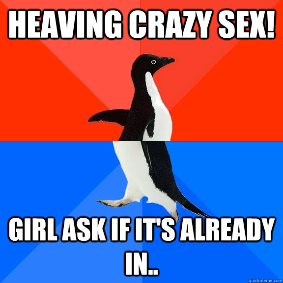 heaving crazy sex! girl ask if it's already in..  Socially Awesome Awkward Penguin