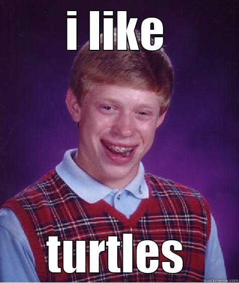 I LIKE TURTLES Bad Luck Brian