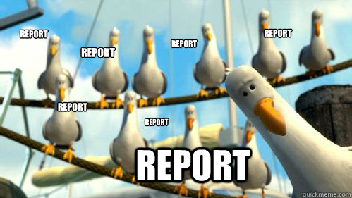 report report report report report report report - report report report report report report report  Finding Nemo Seagulls