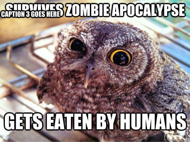 Survives zombie Apocalypse  gets eaten by humans Caption 3 goes here - Survives zombie Apocalypse  gets eaten by humans Caption 3 goes here  Skeptical Owl