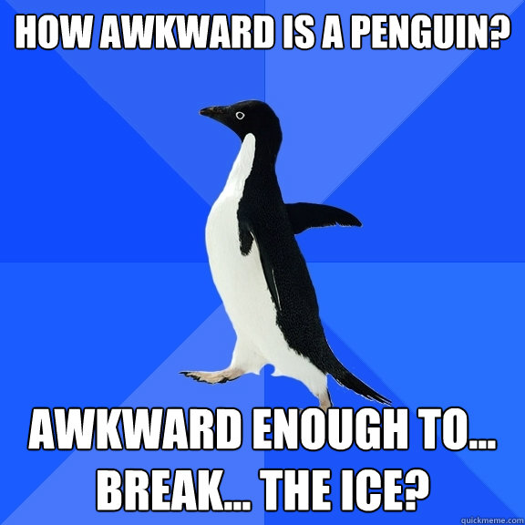 How awkward is a penguin? Awkward enough to...
Break... the ice?  Socially Awkward Penguin