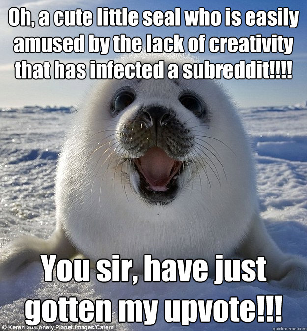 Oh, a cute little seal who is easily amused by the lack of creativity that has infected a subreddit!!!! You sir, have just gotten my upvote!!!  Easily Pleased Seal