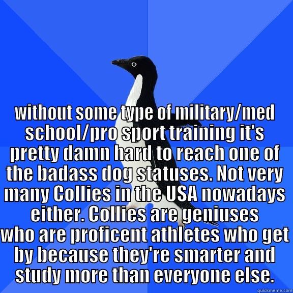  WITHOUT SOME TYPE OF MILITARY/MED SCHOOL/PRO SPORT TRAINING IT'S PRETTY DAMN HARD TO REACH ONE OF THE BADASS DOG STATUSES. NOT VERY MANY COLLIES IN THE USA NOWADAYS EITHER. COLLIES ARE GENIUSES WHO ARE PROFICENT ATHLETES WHO GET BY BECAUSE THEY'RE SMARTER Socially Awkward Penguin