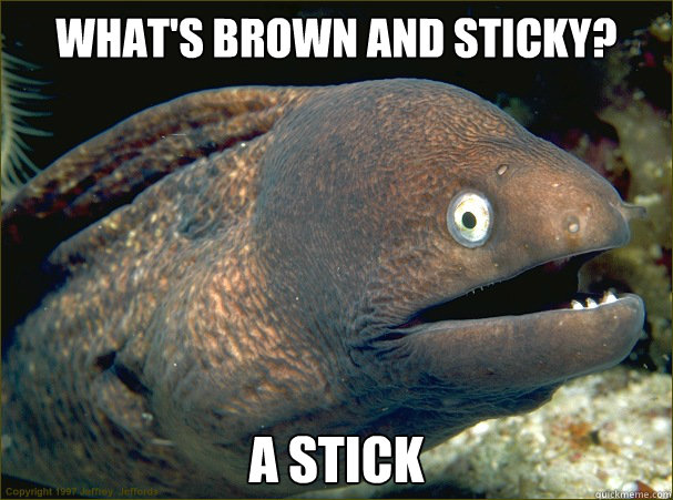 What's brown and sticky? A stick  Bad Joke Eel