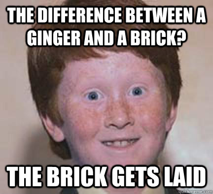 The difference between a ginger and a brick? The brick gets laid  Over Confident Ginger