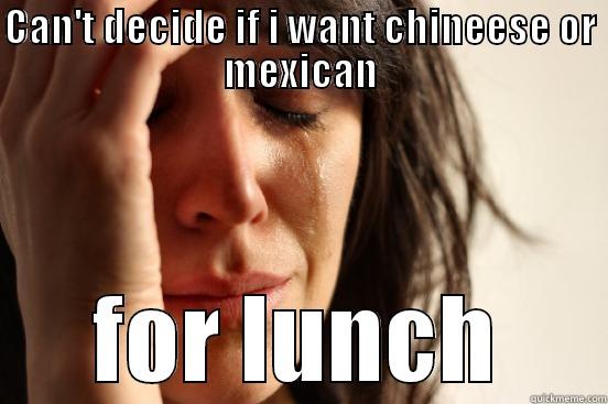 CAN'T DECIDE IF I WANT CHINEESE OR MEXICAN FOR LUNCH First World Problems