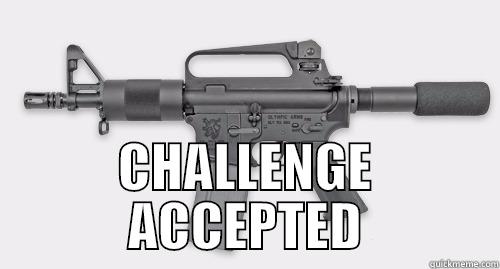  CHALLENGE ACCEPTED Misc