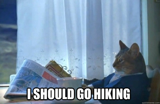 I should go hiking  Sophisticated Cat