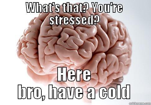 WHAT'S THAT? YOU'RE STRESSED? HERE BRO, HAVE A COLD Scumbag Brain