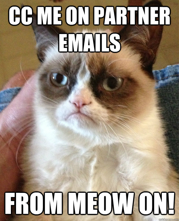 CC me on partner emails From Meow on! - CC me on partner emails From Meow on!  Grumpy Cat