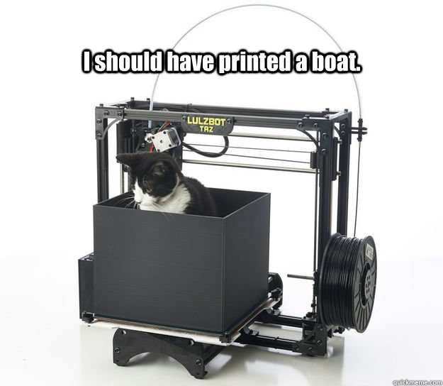 I should have printed a boat.  Depressed 3D printer cat