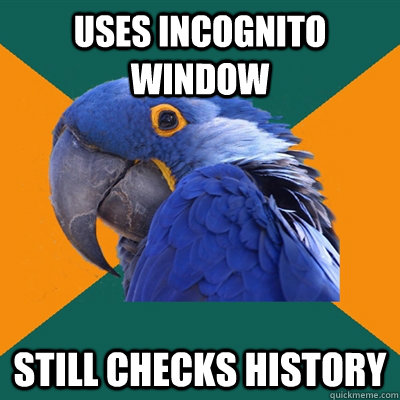 Uses incognito window still checks history  Paranoid Parrot