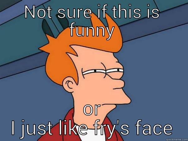 NOT SURE IF THIS IS FUNNY OR I JUST LIKE FRY'S FACE Futurama Fry