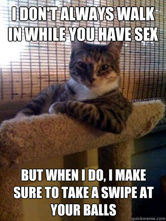 I don't always walk in while you have sex but when I do, I make sure to take a swipe at your balls  The Most Interesting Cat in the World