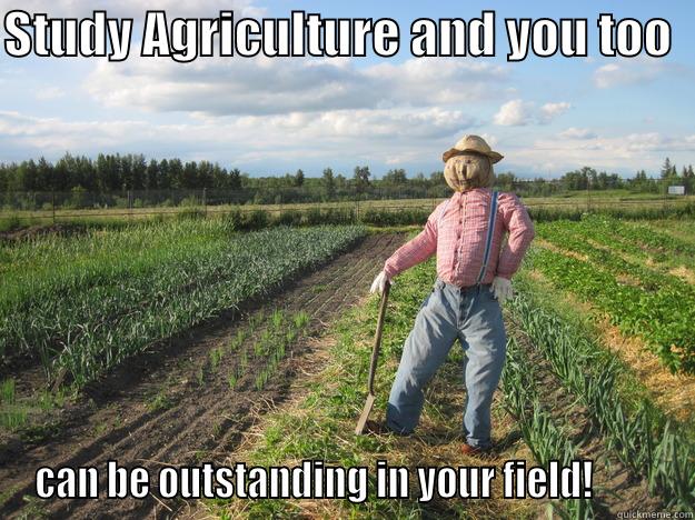 Outstanding in your field! - STUDY AGRICULTURE AND YOU TOO   CAN BE OUTSTANDING IN YOUR FIELD!         Scarecrow