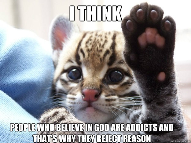 I think  people who believe in god are addicts and that's why they reject reason  Opinion Ocelot
