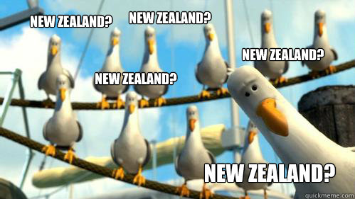 New Zealand? New Zealand? New Zealand? New Zealand? New Zealand? - New Zealand? New Zealand? New Zealand? New Zealand? New Zealand?  Finding Nemo Seagulls