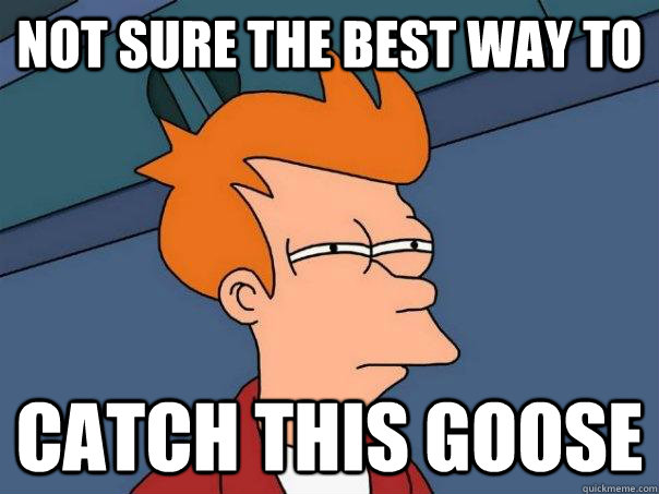 Not sure the best way to  Catch this goose   Futurama Fry