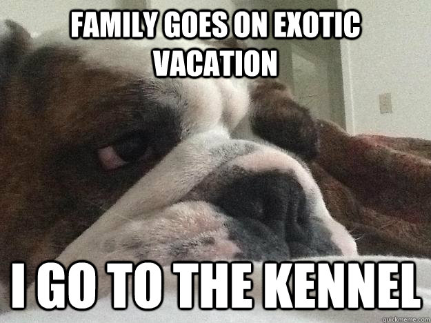 family goes on exotic vacation i go to the kennel  First World Dog problems