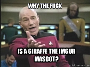 why the fuck is a giraffe the imgur mascot?  Annoyed Picard