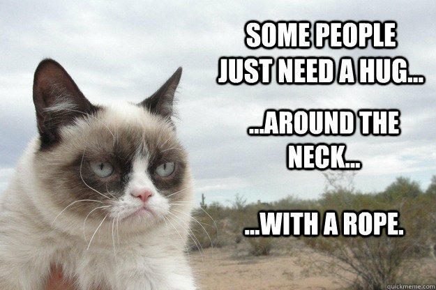 Some people just need a hug... ...around the neck... ...with a rope. - Some people just need a hug... ...around the neck... ...with a rope.  Grumpy Cat
