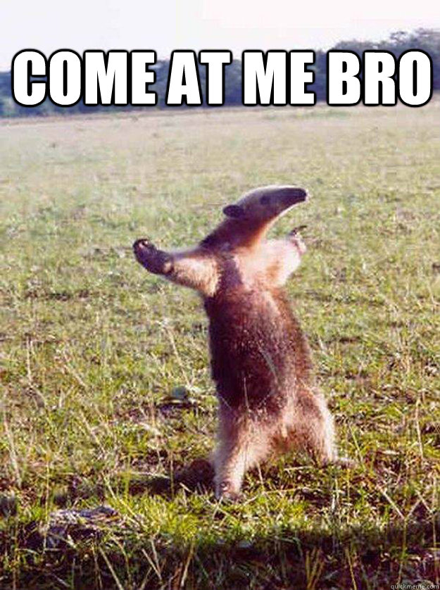 Come at me bro   Come at me bro