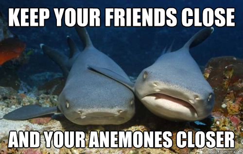 keep your friends close and your anemones closer  Compassionate Shark Friend