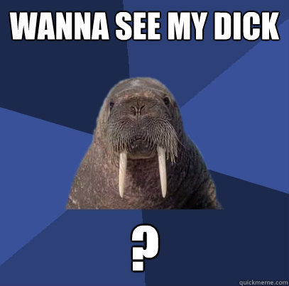 Wanna see my dick ?  Web Developer Walrus