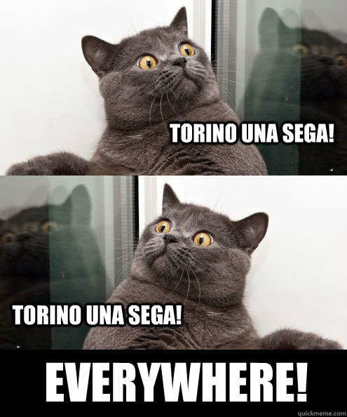torino una sega! torino una sega! everywhere! - torino una sega! torino una sega! everywhere!  summerfags everywhere lolcat