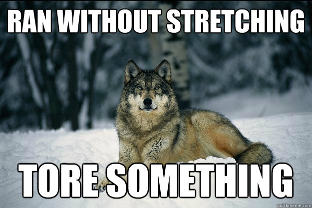 RAN WITHOUT STRETCHING TORE SOMETHING  Wolf