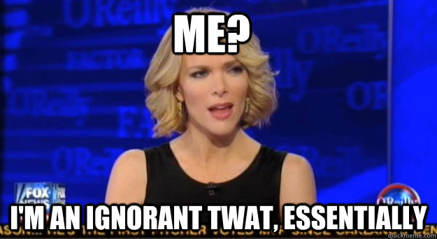 Me? I'm an ignorant twat, Essentially  Megyn spins everything