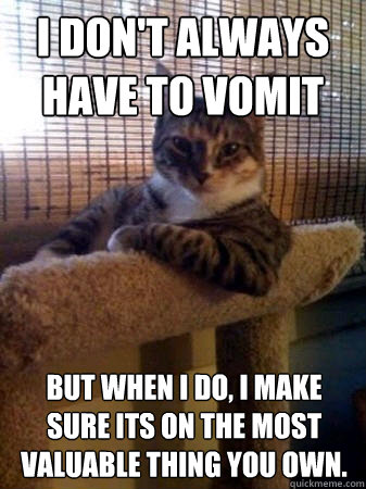I don't always have to vomit but when I do, I make sure its on the most valuable thing you own.  The Most Interesting Cat in the World