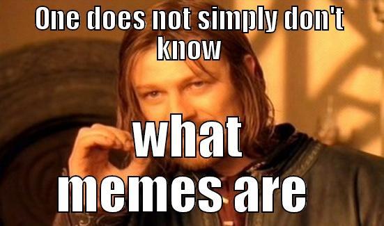 ONE DOES NOT SIMPLY DON'T KNOW WHAT MEMES ARE  Boromir